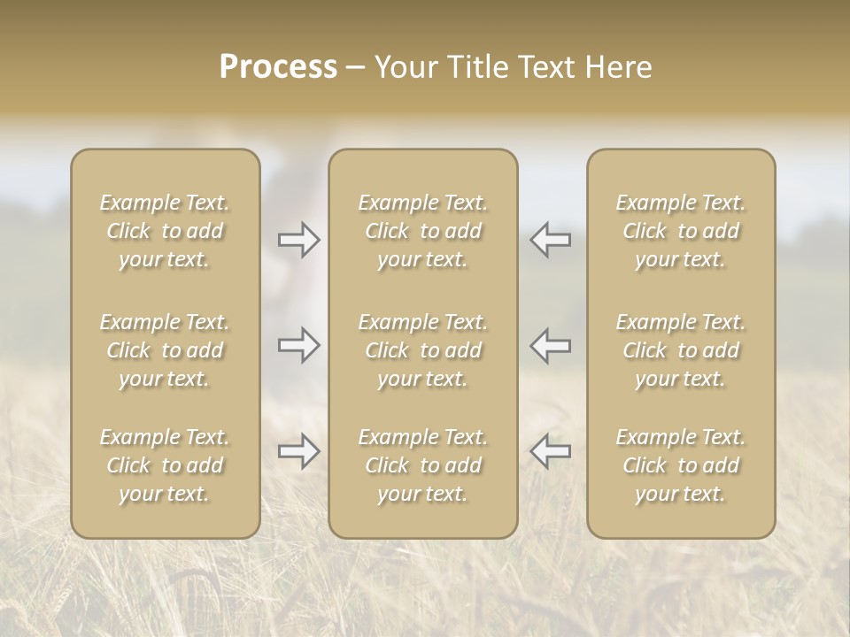 Golden Pet Beach PowerPoint Template