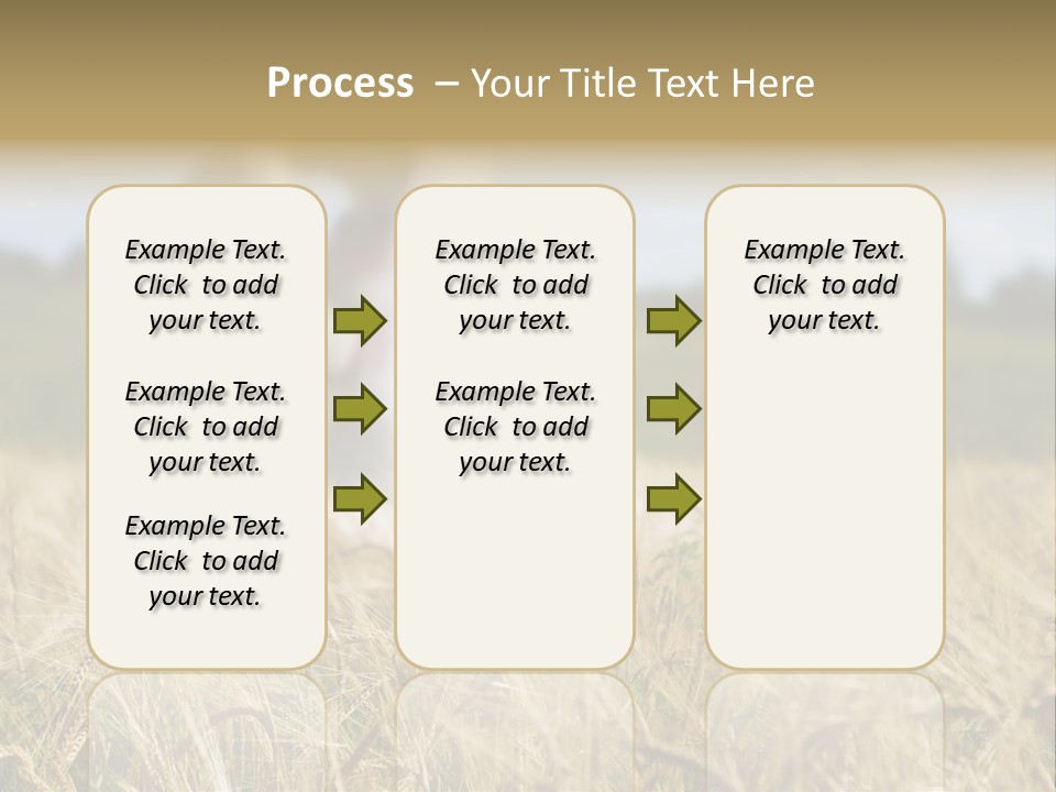 Golden Pet Beach PowerPoint Template