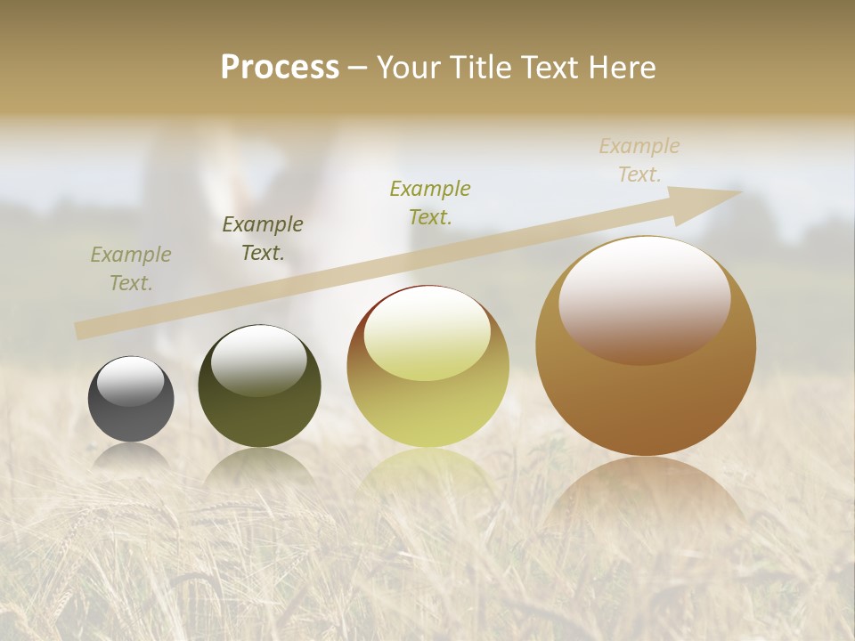 Golden Pet Beach PowerPoint Template