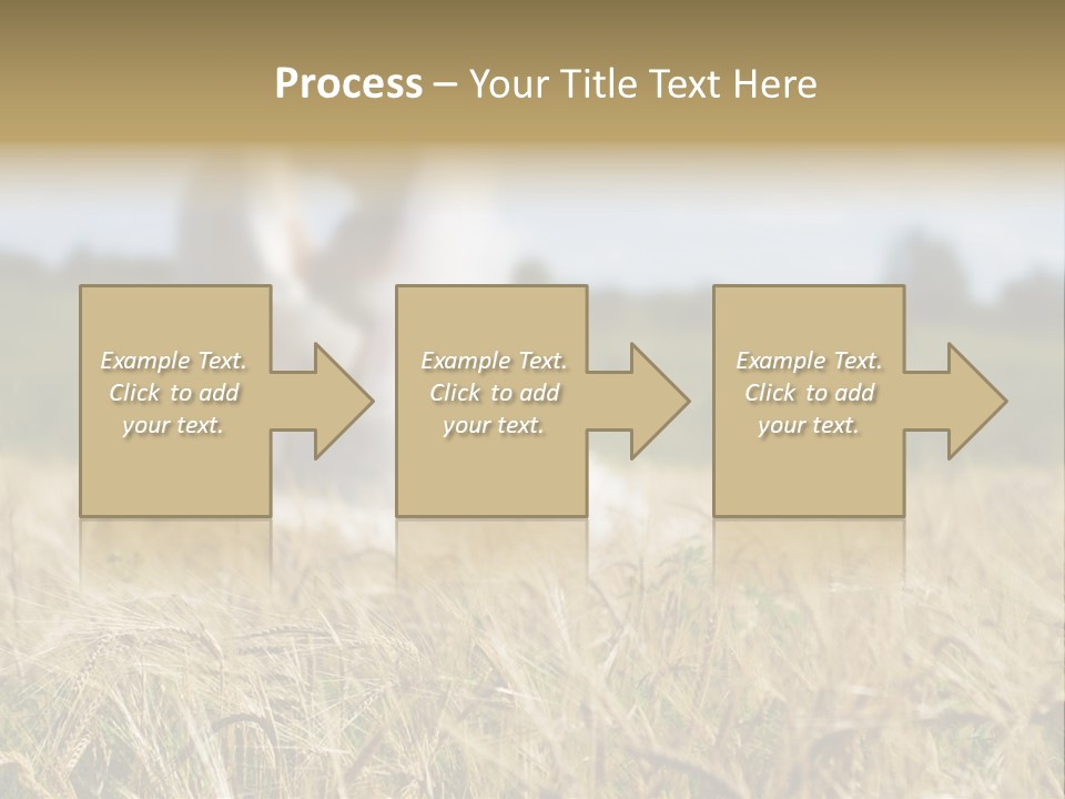 Golden Pet Beach PowerPoint Template