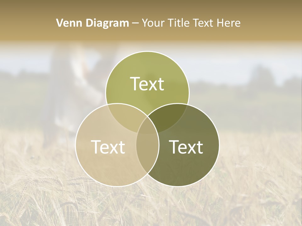 Golden Pet Beach PowerPoint Template