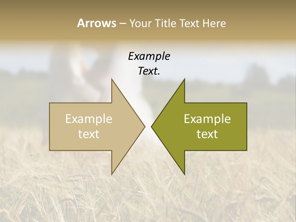 Golden Pet Beach PowerPoint Template