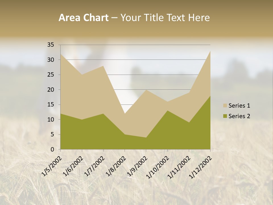 Golden Pet Beach PowerPoint Template
