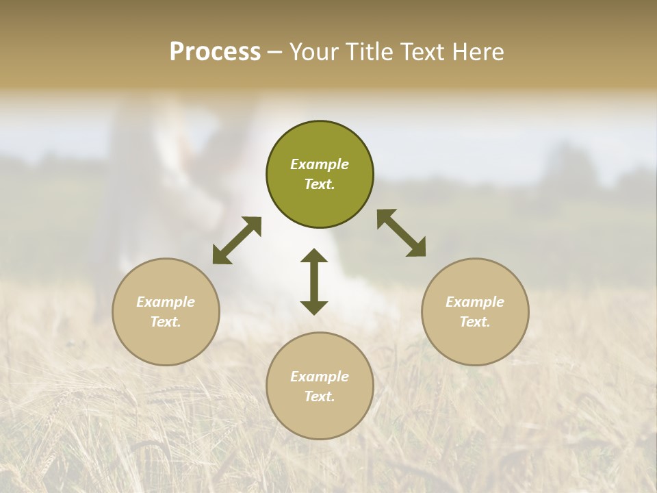 Golden Pet Beach PowerPoint Template