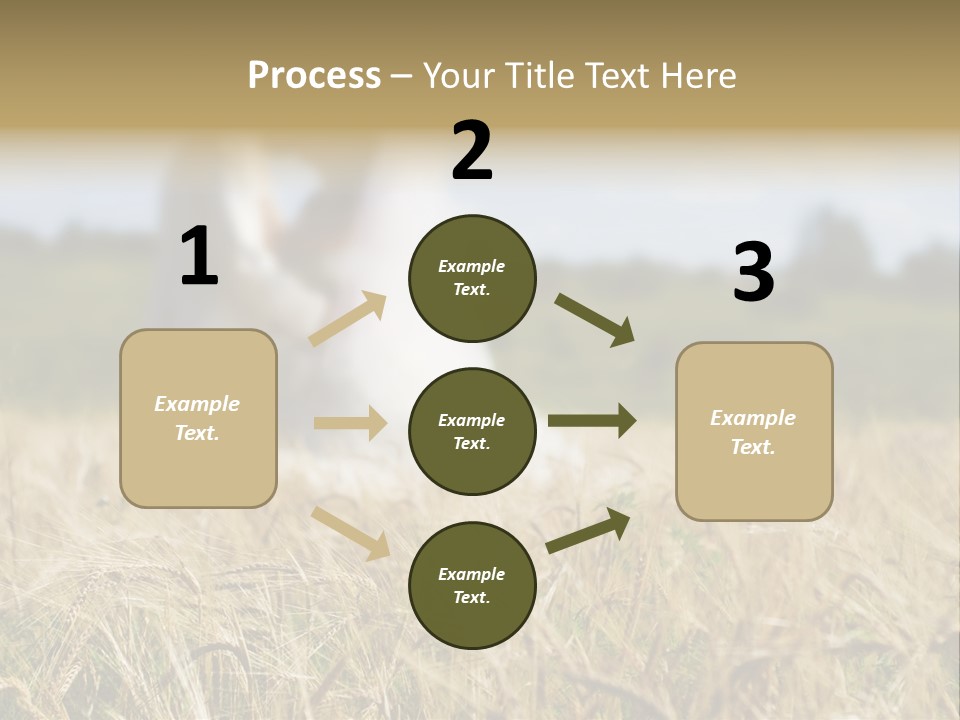 Golden Pet Beach PowerPoint Template