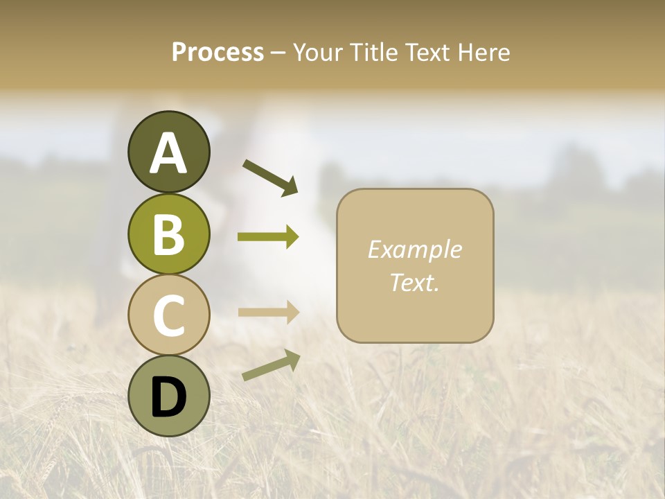 Golden Pet Beach PowerPoint Template