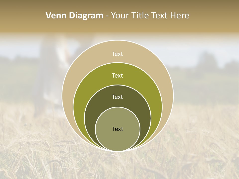 Golden Pet Beach PowerPoint Template