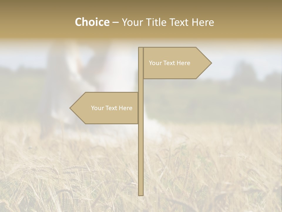 Golden Pet Beach PowerPoint Template