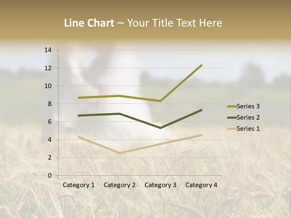 Golden Pet Beach PowerPoint Template