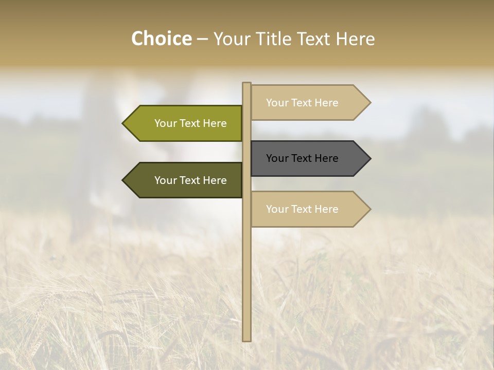 Golden Pet Beach PowerPoint Template