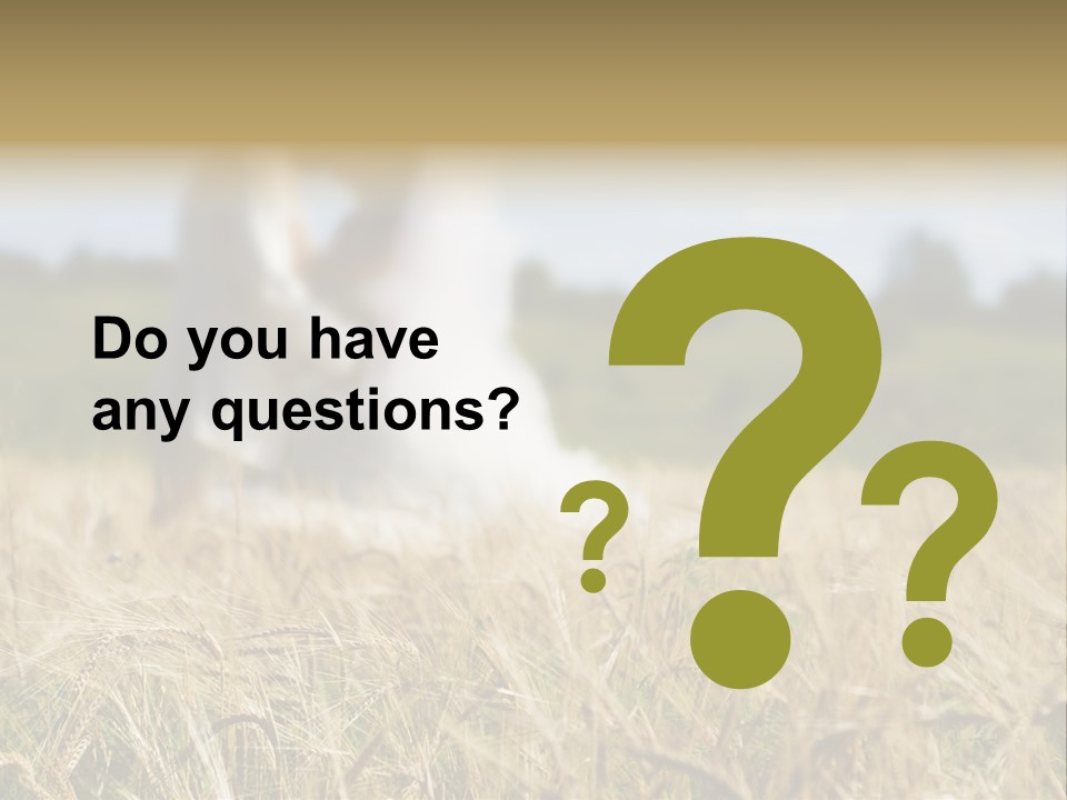 Golden Pet Beach PowerPoint Template