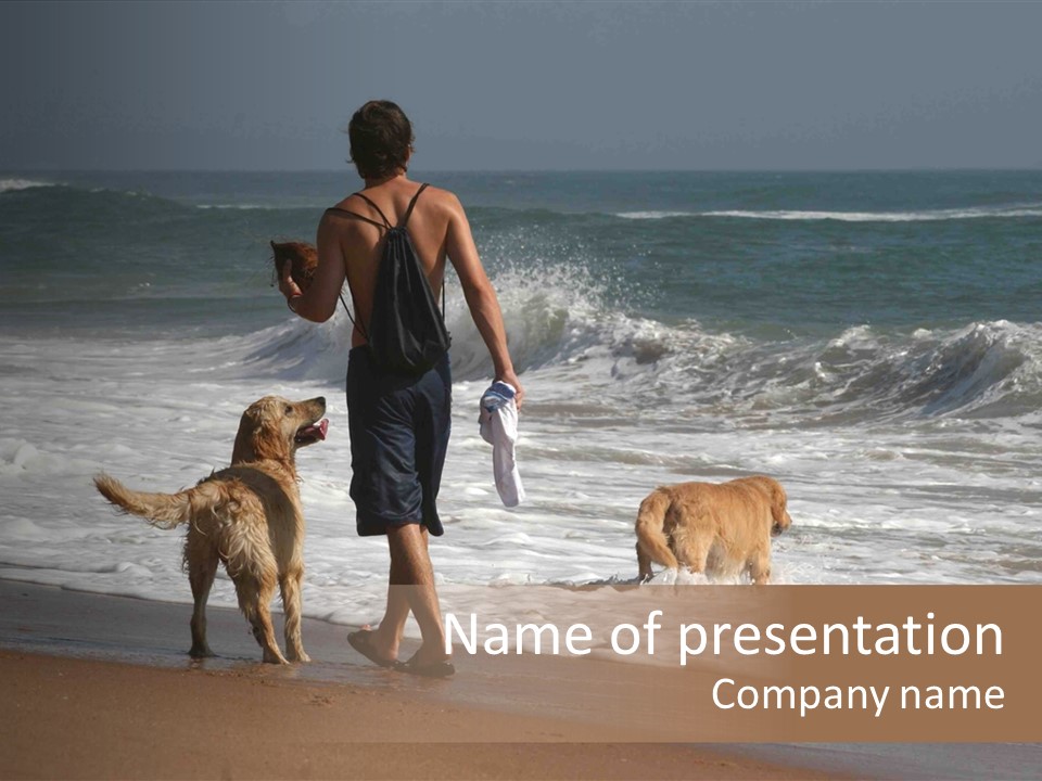 Golden Pet Beach PowerPoint Template