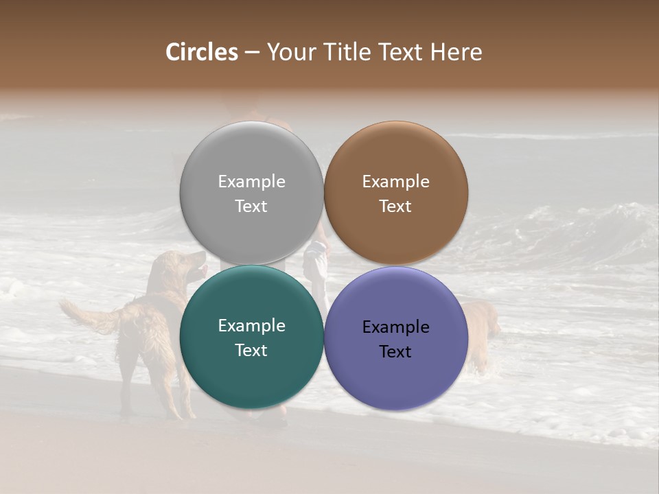 Golden Pet Beach PowerPoint Template