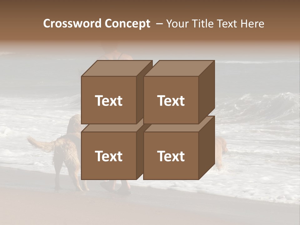 Golden Pet Beach PowerPoint Template