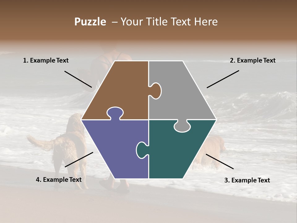 Golden Pet Beach PowerPoint Template
