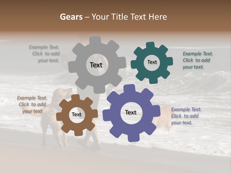 Golden Pet Beach PowerPoint Template