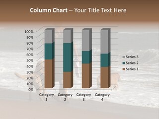 Golden Pet Beach PowerPoint Template