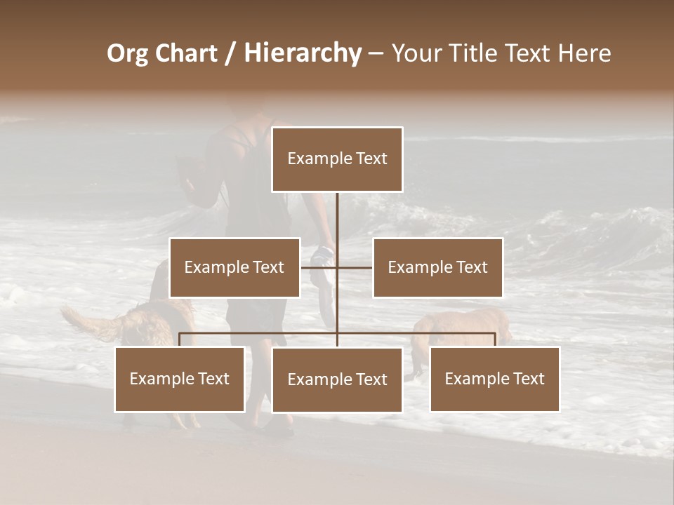 Golden Pet Beach PowerPoint Template