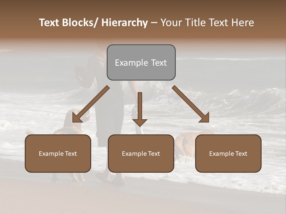 Golden Pet Beach PowerPoint Template