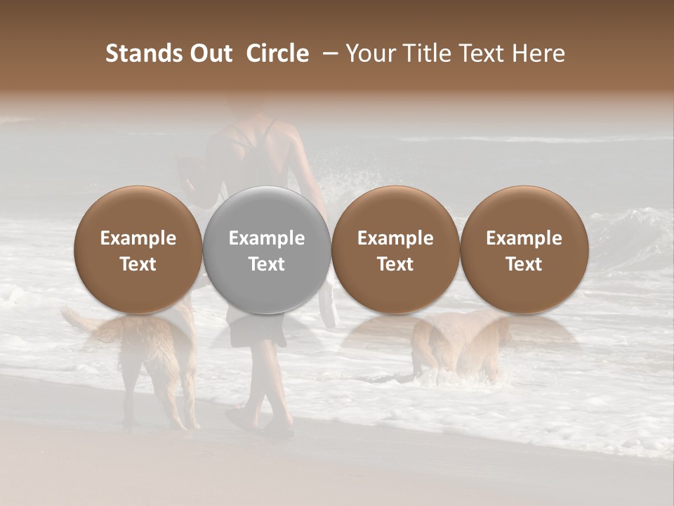 Golden Pet Beach PowerPoint Template