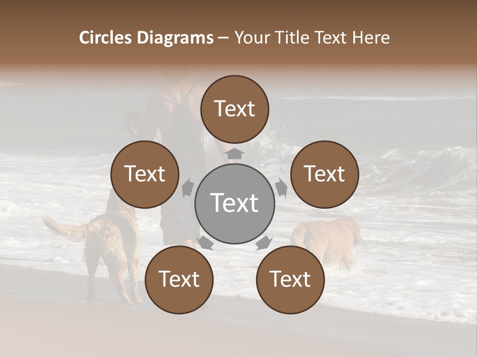 Golden Pet Beach PowerPoint Template