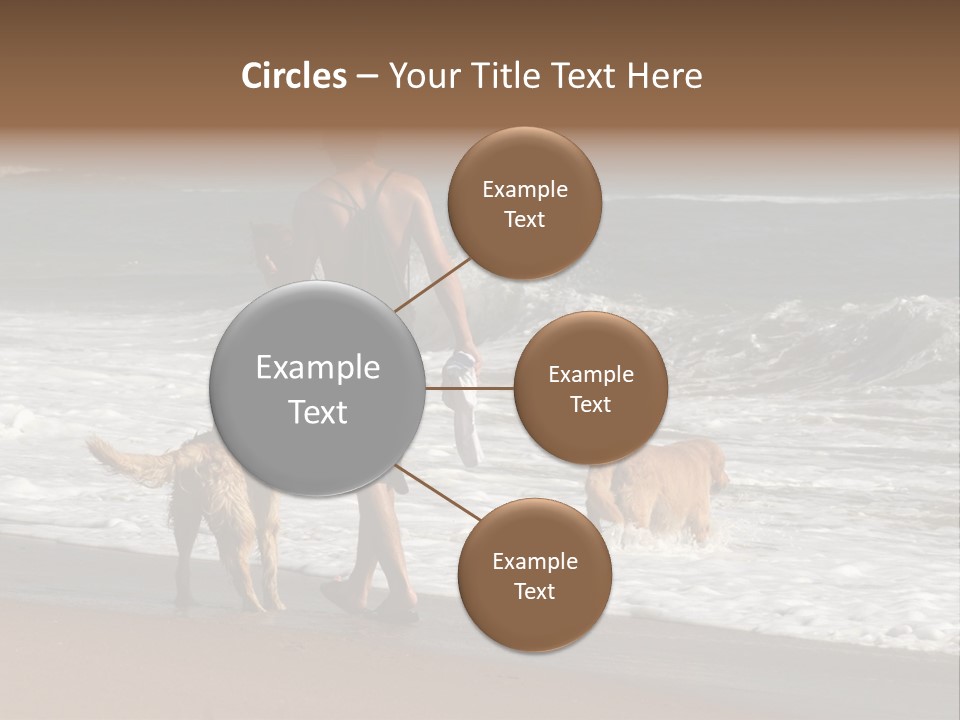 Golden Pet Beach PowerPoint Template