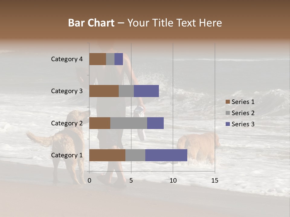 Golden Pet Beach PowerPoint Template