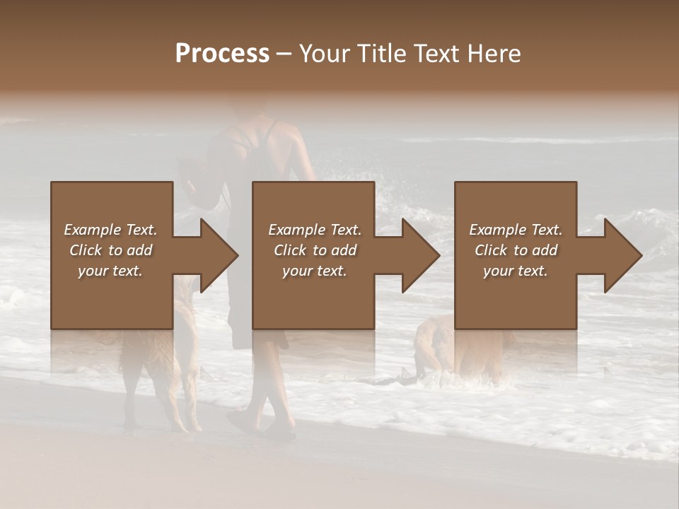Golden Pet Beach PowerPoint Template