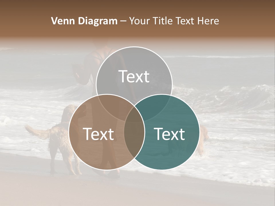 Golden Pet Beach PowerPoint Template