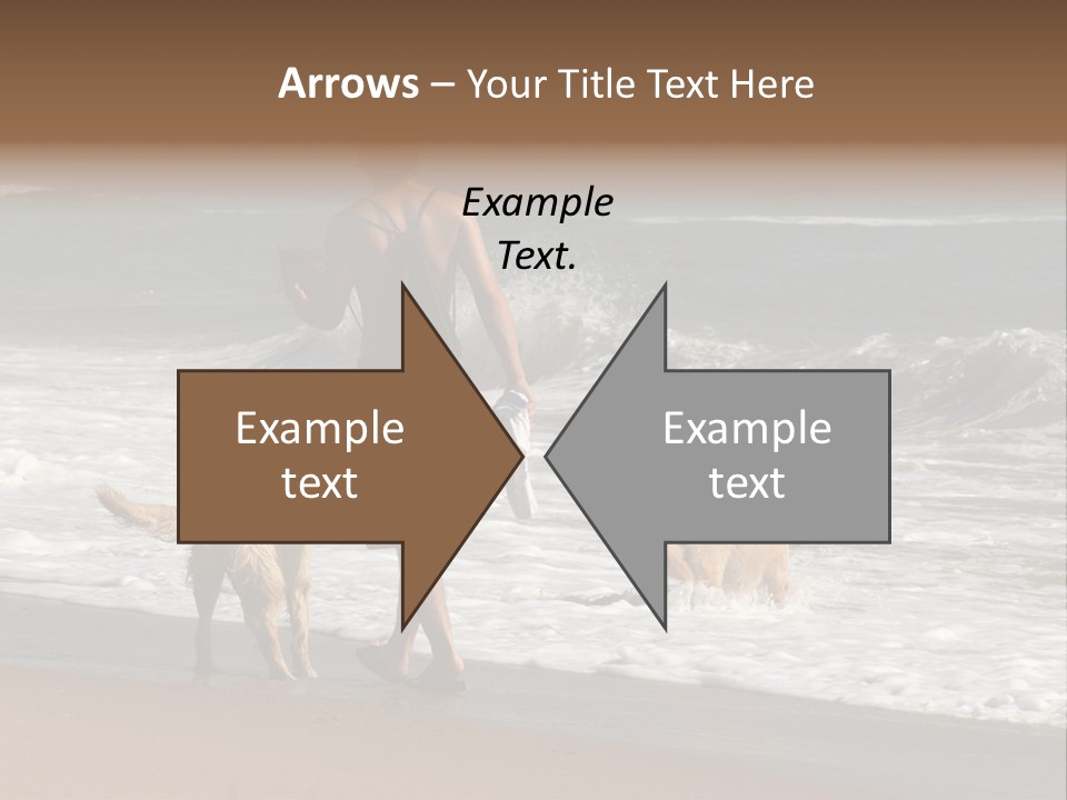 Golden Pet Beach PowerPoint Template