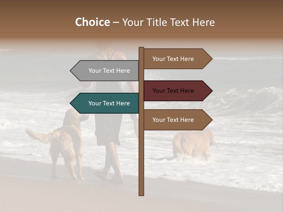 Golden Pet Beach PowerPoint Template