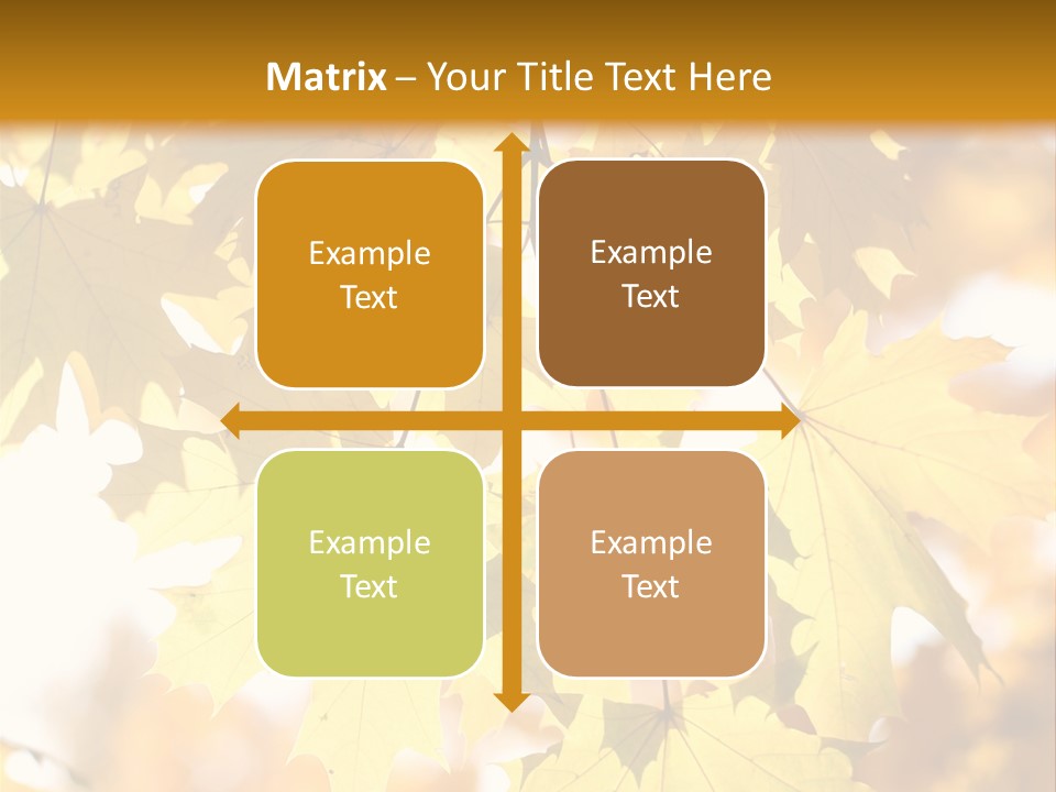 Closeup Color Leaf PowerPoint Template