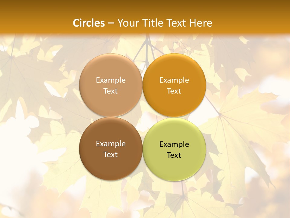 Closeup Color Leaf PowerPoint Template