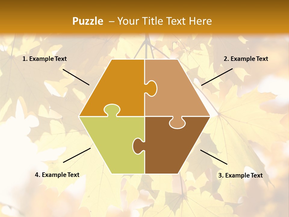 Closeup Color Leaf PowerPoint Template