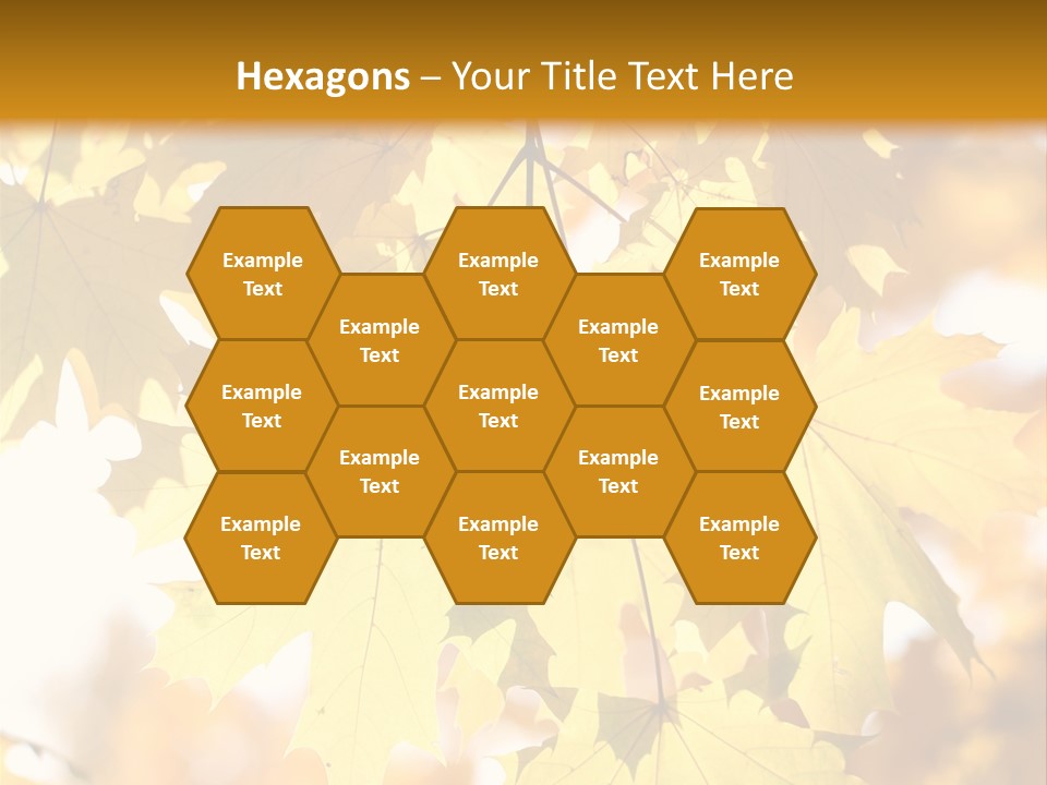 Closeup Color Leaf PowerPoint Template