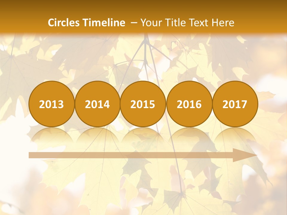 Closeup Color Leaf PowerPoint Template