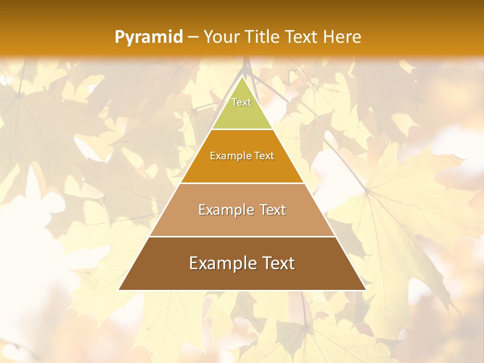 Closeup Color Leaf PowerPoint Template