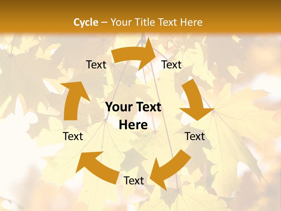 Closeup Color Leaf PowerPoint Template