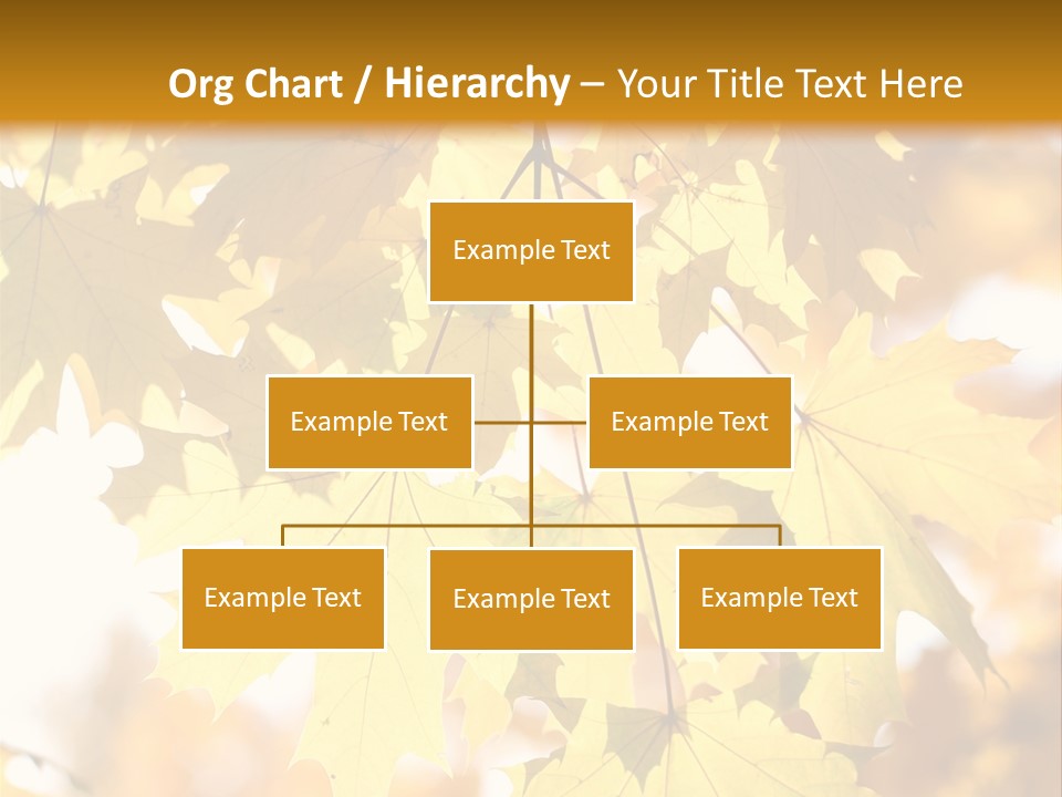 Closeup Color Leaf PowerPoint Template