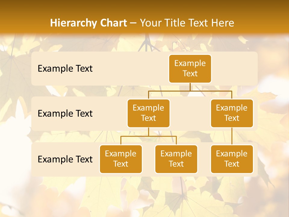 Closeup Color Leaf PowerPoint Template