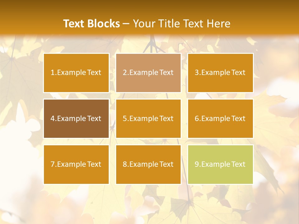 Closeup Color Leaf PowerPoint Template