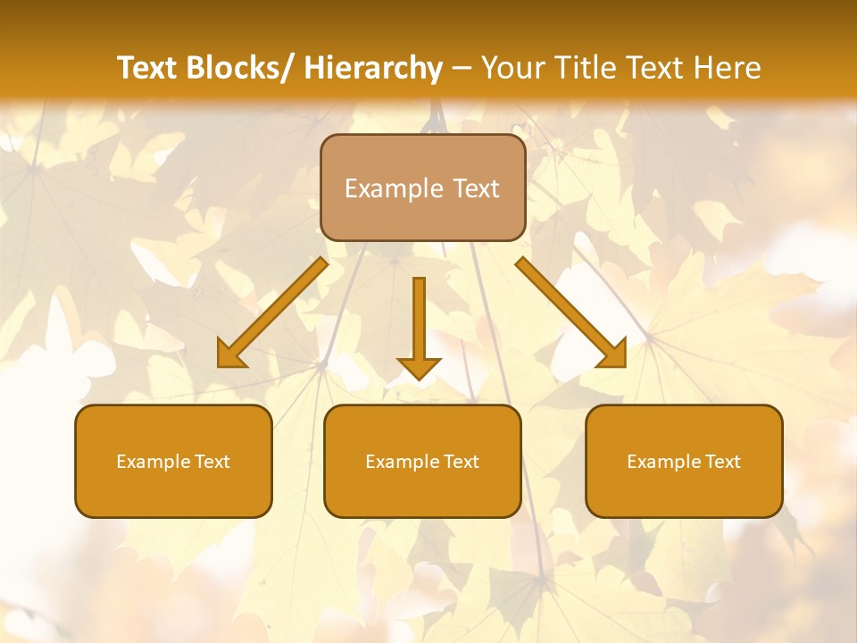 Closeup Color Leaf PowerPoint Template