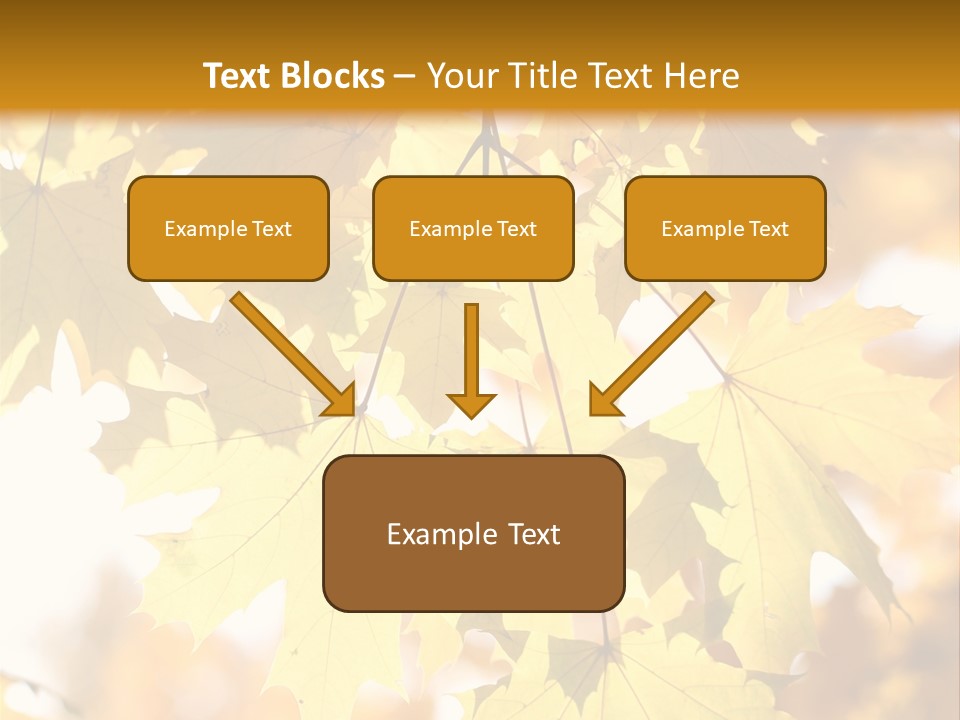 Closeup Color Leaf PowerPoint Template