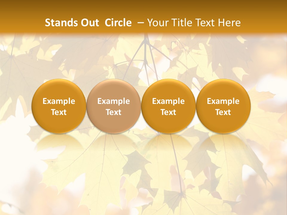 Closeup Color Leaf PowerPoint Template