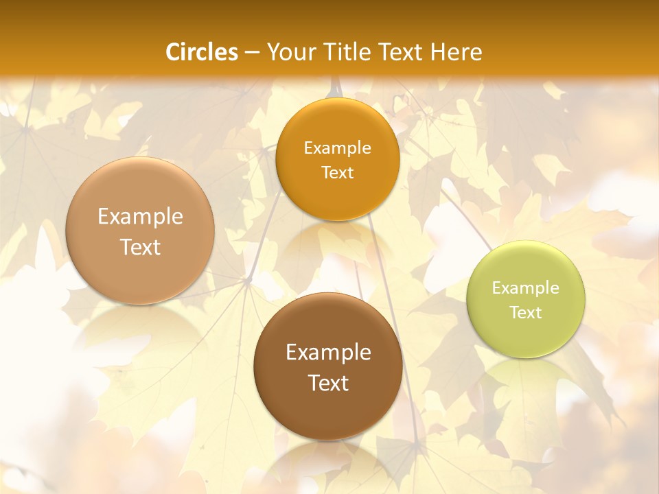 Closeup Color Leaf PowerPoint Template