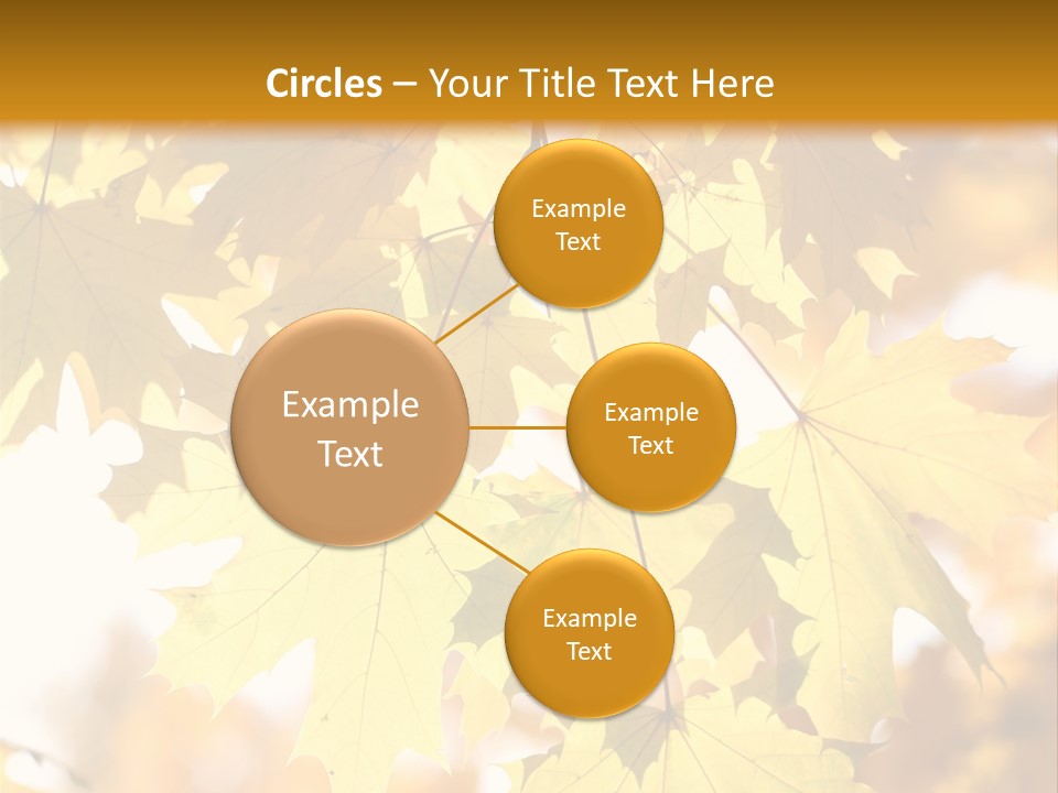 Closeup Color Leaf PowerPoint Template