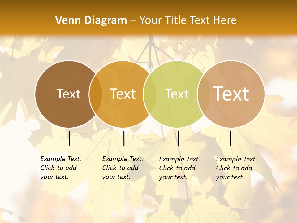 Closeup Color Leaf PowerPoint Template