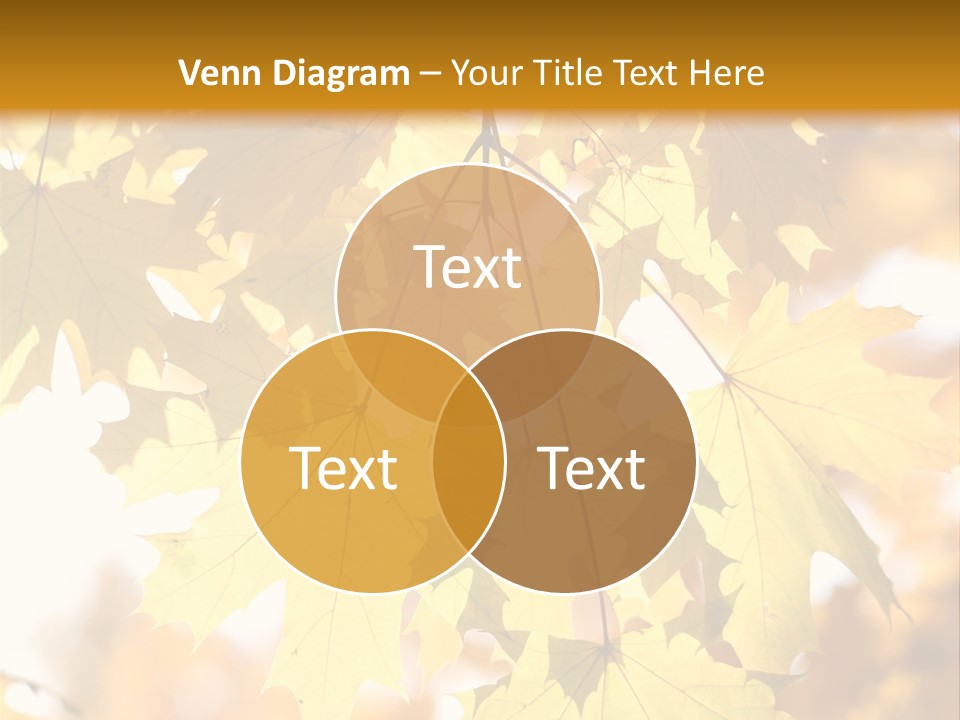 Closeup Color Leaf PowerPoint Template