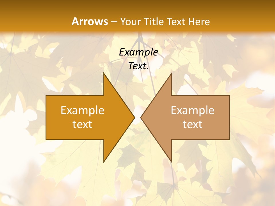 Closeup Color Leaf PowerPoint Template