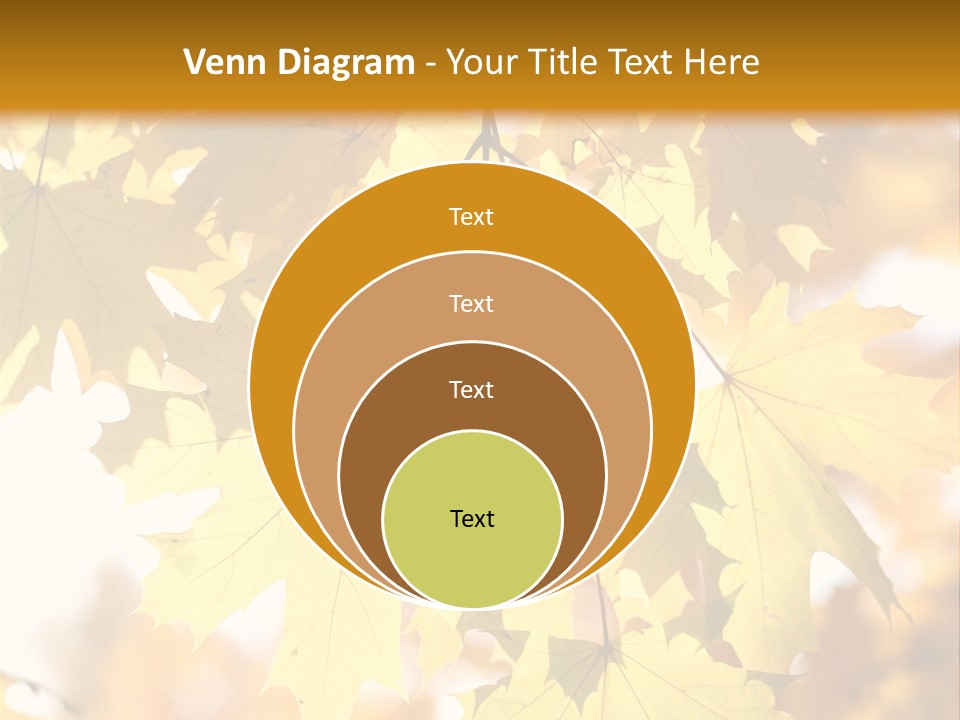 Closeup Color Leaf PowerPoint Template